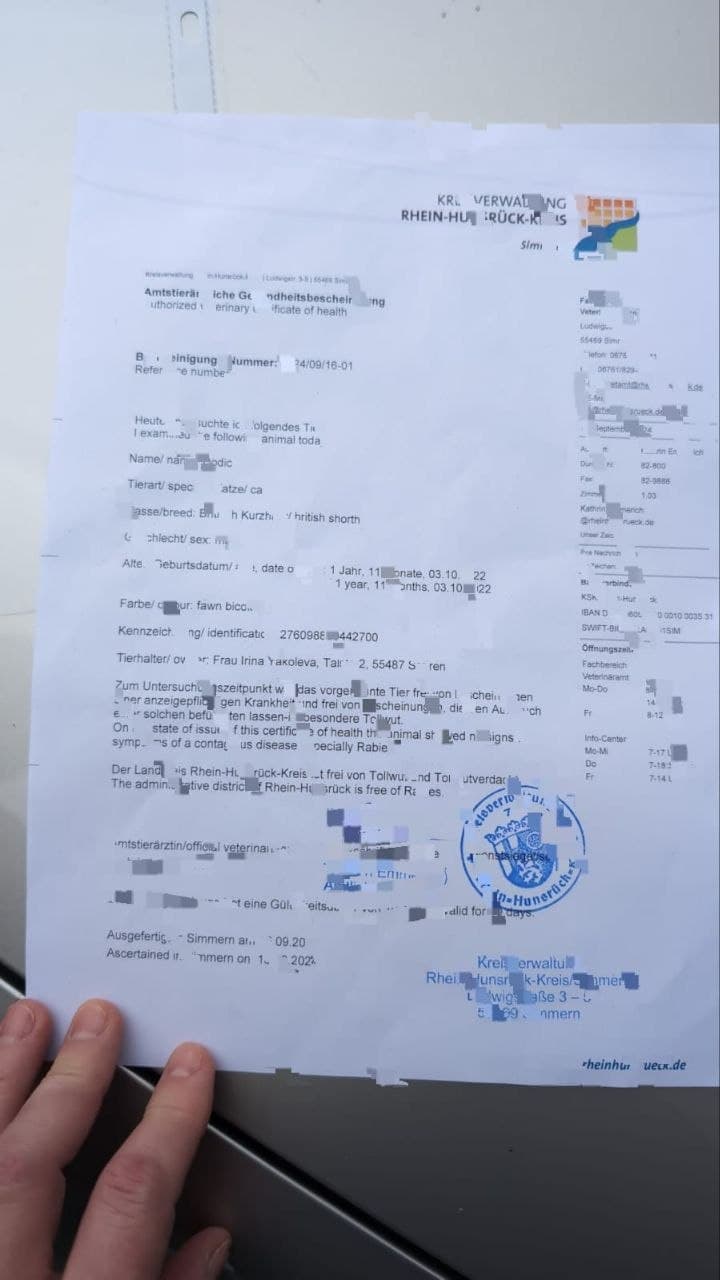 Amtstierärztliche Gesundheitsbescheinigung (Veterinäramt Simmern)