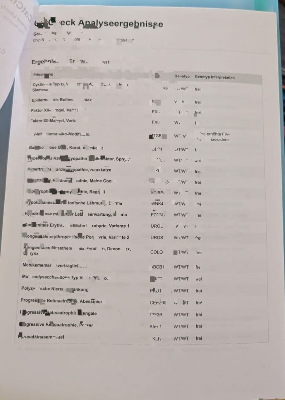 Genetisches CatCheck-Zertifikat: Krankheits-Screening (Frei / WT)