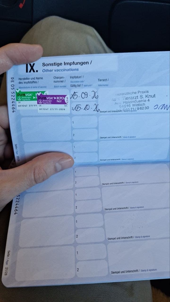 EU-Heimtierausweis: Purevax® RCPCh + FeLV (Boehringer Ingelheim)