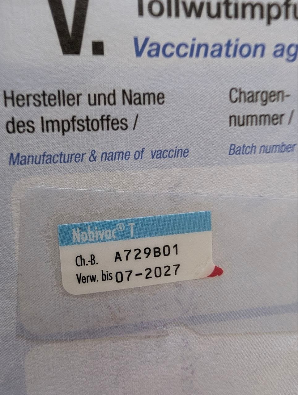 Blauer EU-Heimtierausweis: Tollwutimpfung (Nobivac T)