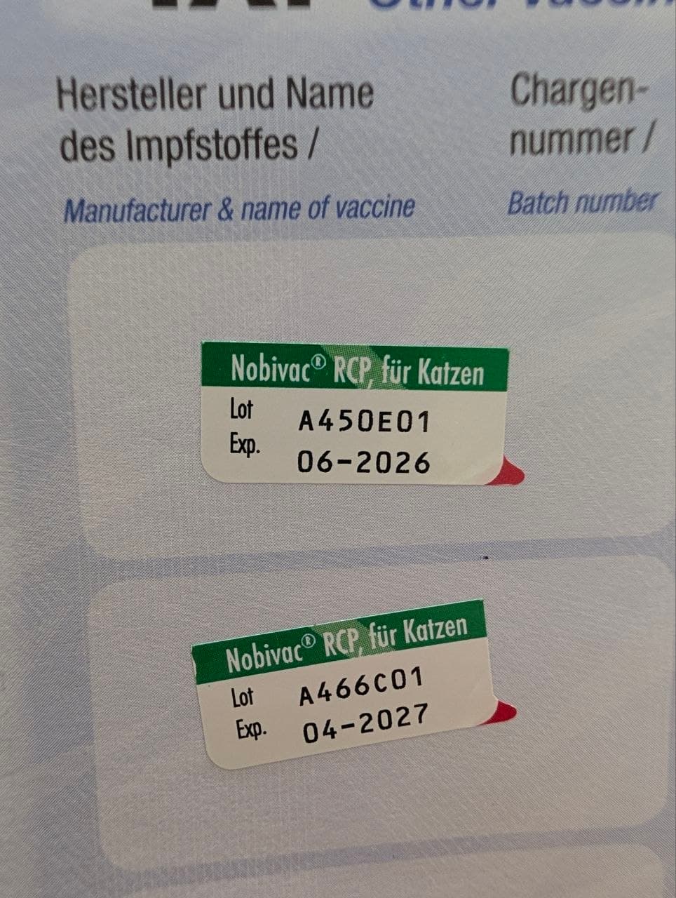 Blauer EU-Heimtierausweis: Nobivac® RCP Schutzimpfung