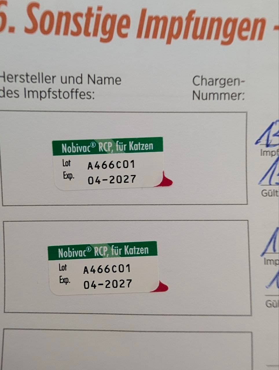 Roter Nationaler Impfausweis (Inland Deutschland)