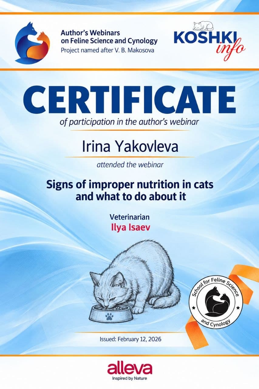 „Tierärztliche Ernährungslehre bei Katzen“ (Feb. 2026)
