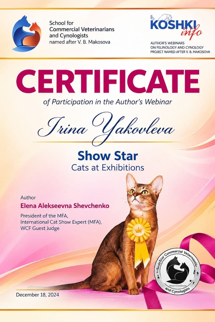 „Show-Star: Katzen auf Ausstellungen“ (2024)