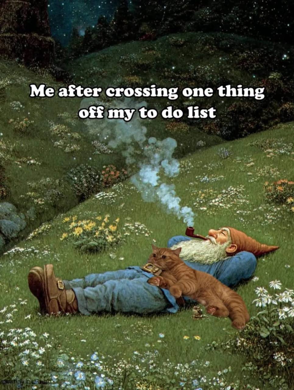 Crossing one thing off to do list gnome and cat meme — Grand Liberty feline relaxation